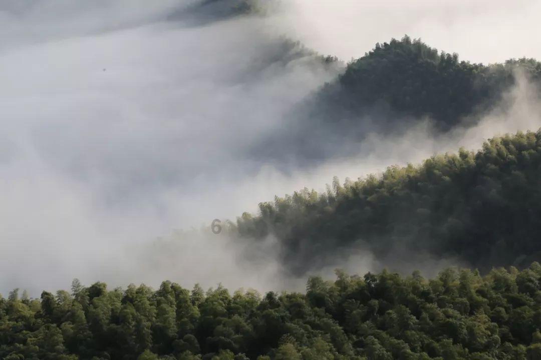 微信好友为啥删不掉-文化平台